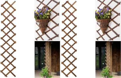 2Pack Expandable Wooden Lattice Wall,Plant Garden Trellis for Climbing Plants Outdoor, Plant Vertical Rack Wall Decor Indoor