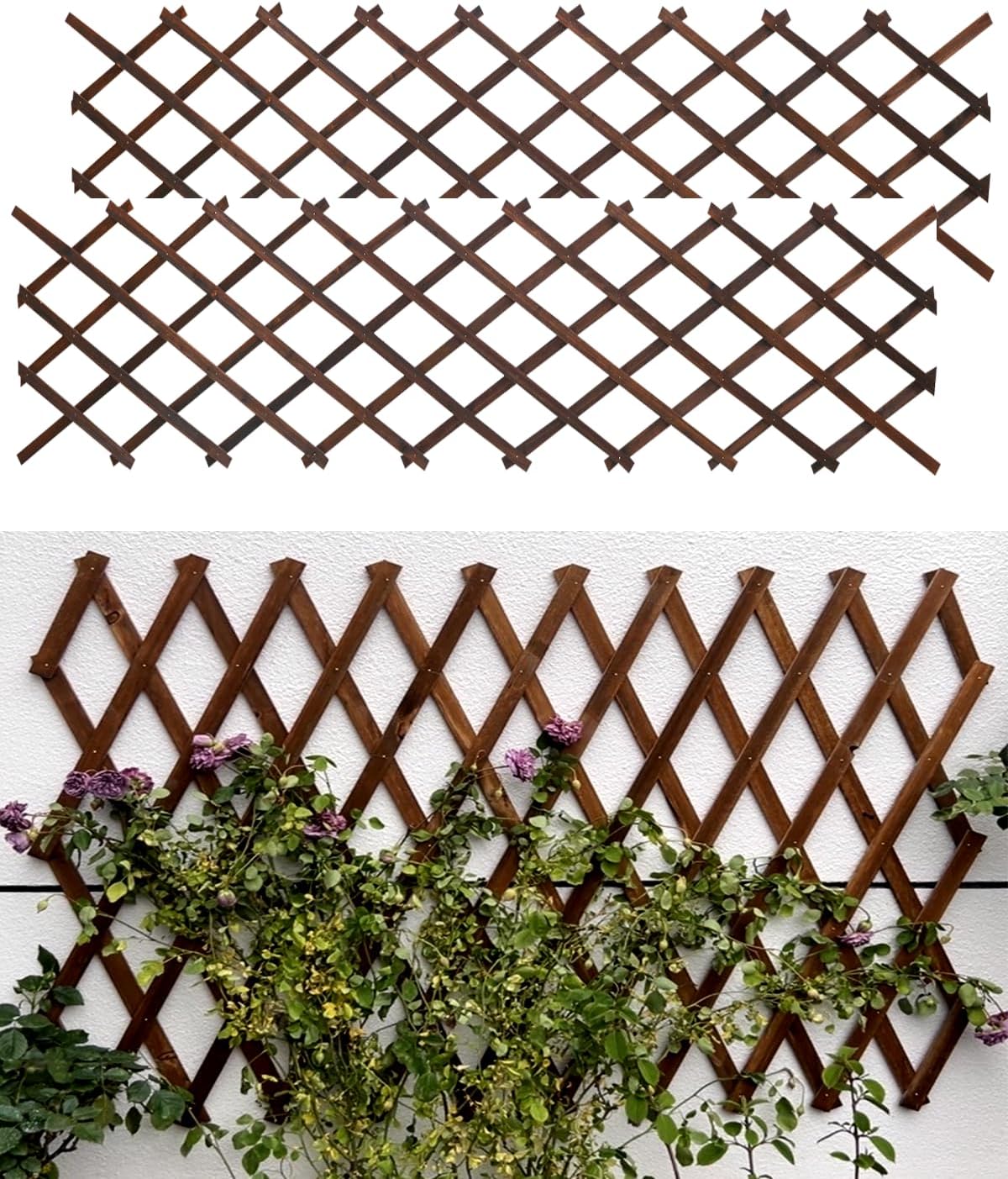 2Pack Expandable Wooden Lattice Wall,Plant Garden Trellis for Climbing Plants Outdoor, Plant Vertical Rack Wall Decor Indoor