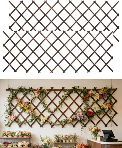 2Pack Expandable Wooden Lattice Wall,Plant Garden Trellis for Climbing Plants Outdoor, Plant Vertical Rack Wall Decor Indoor