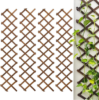2Pack Expandable Wooden Lattice Wall,Plant Garden Trellis for Climbing Plants Outdoor, Plant Vertical Rack Wall Decor Indoor