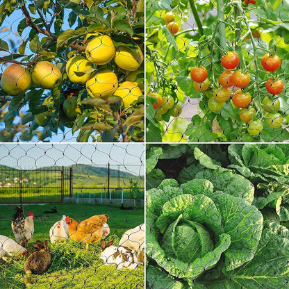 Bird Netting, 13 x 33 Ft Heavy Duty Fruit Tree Netting for Garden