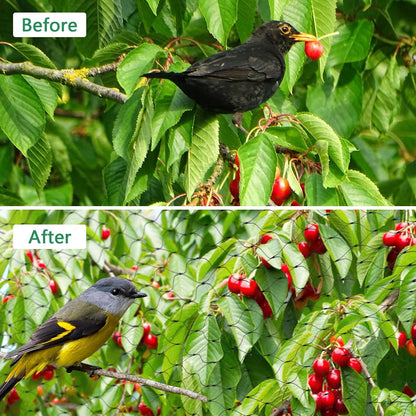 Bird Netting, 13 x 33 Ft Heavy Duty Fruit Tree Netting for Garden