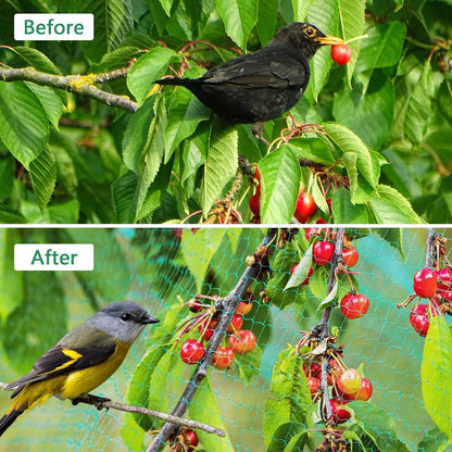 Bird Netting, 13 x 33 Ft Heavy Duty Fruit Tree Netting for Garden