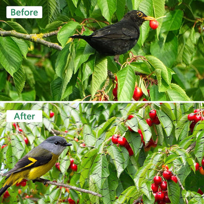 Bird Netting, 13 x 33 Ft Heavy Duty Fruit Tree Netting for Garden
