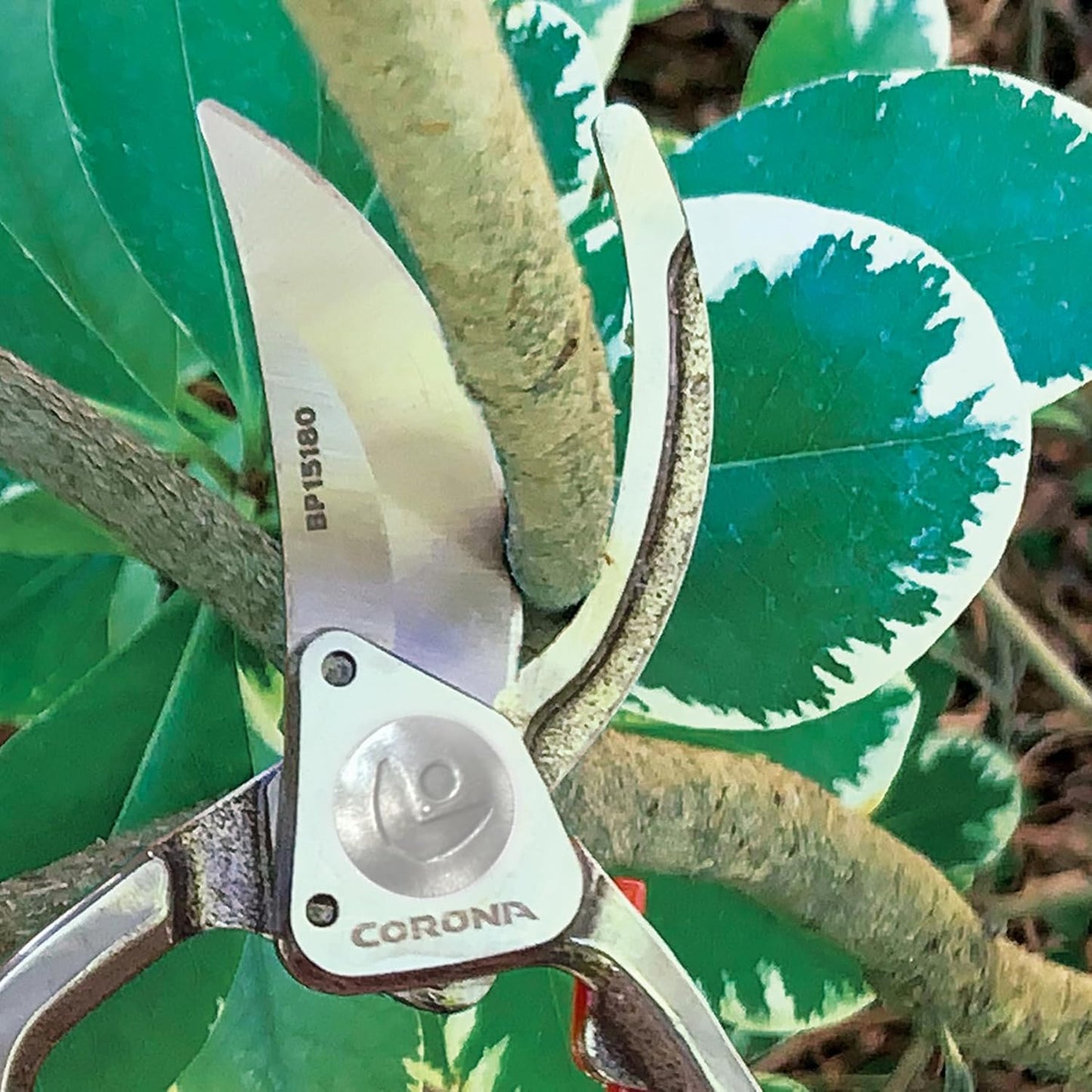 Forged Steel ClassicCUT Bypass Hand Pruner – 1-Inch Cut Capacity Garden Pruning Shears for Stems & Branches, Heavy-Duty Bypass Pruners for Tree, Shrub & Plant Trimming