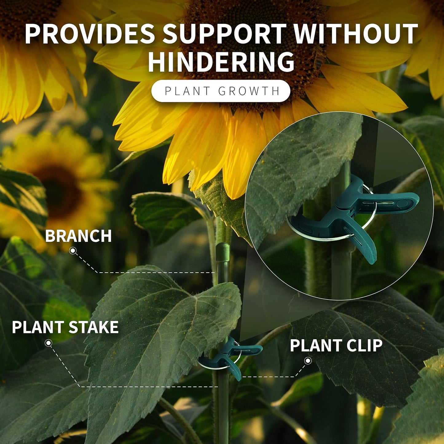 Plant Clips 40 Piece Green Gentle Gardening Plant & Flower Lever Loop Gripper Clips, Tool for Supporting or Straightening Plant Stems, Stalks, and Vines, Garden Clips