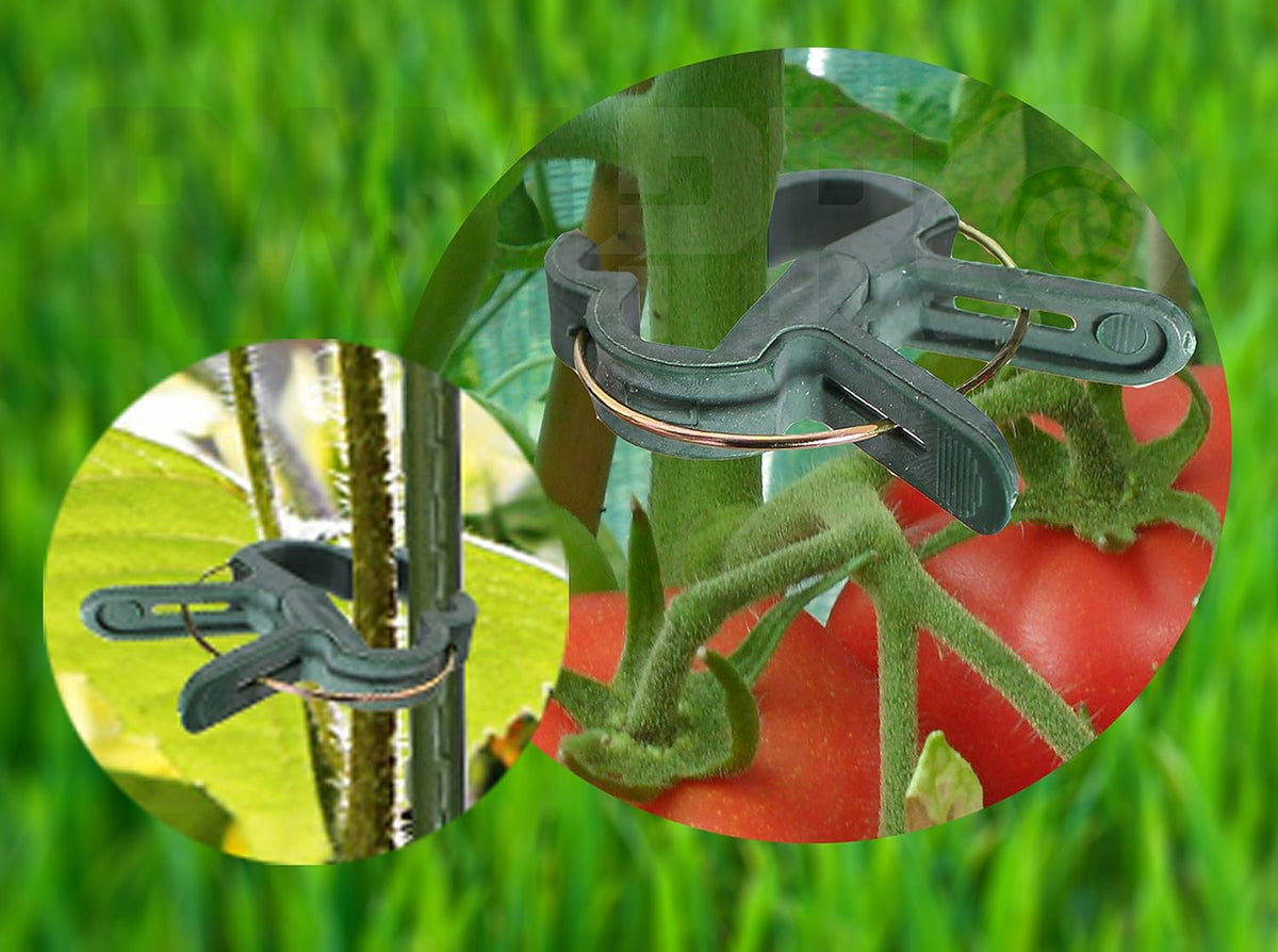 Plant Clips 40 Piece Green Gentle Gardening Plant & Flower Lever Loop Gripper Clips, Tool for Supporting or Straightening Plant Stems, Stalks, and Vines, Garden Clips