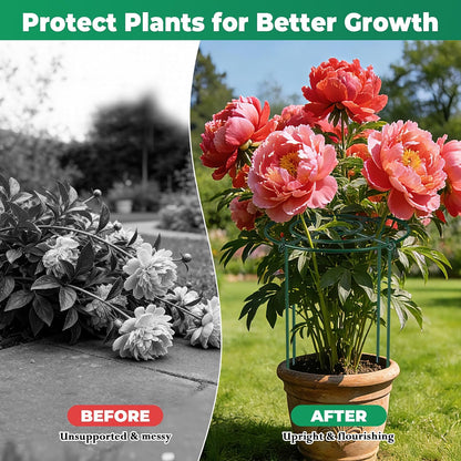 6Pack Peony Cages and Supports 33''H x 13''D Grow Through Large Plant Support, Adjustable High, Heavy Duty, Rust-Resistant, Round, Flower Support Cage Ring for Rose Tomato Hydrangea