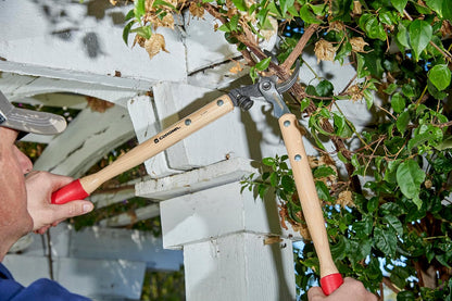 Corona WL 6310 ClassicCUT Bypass Vine Lopper, 20-Inch