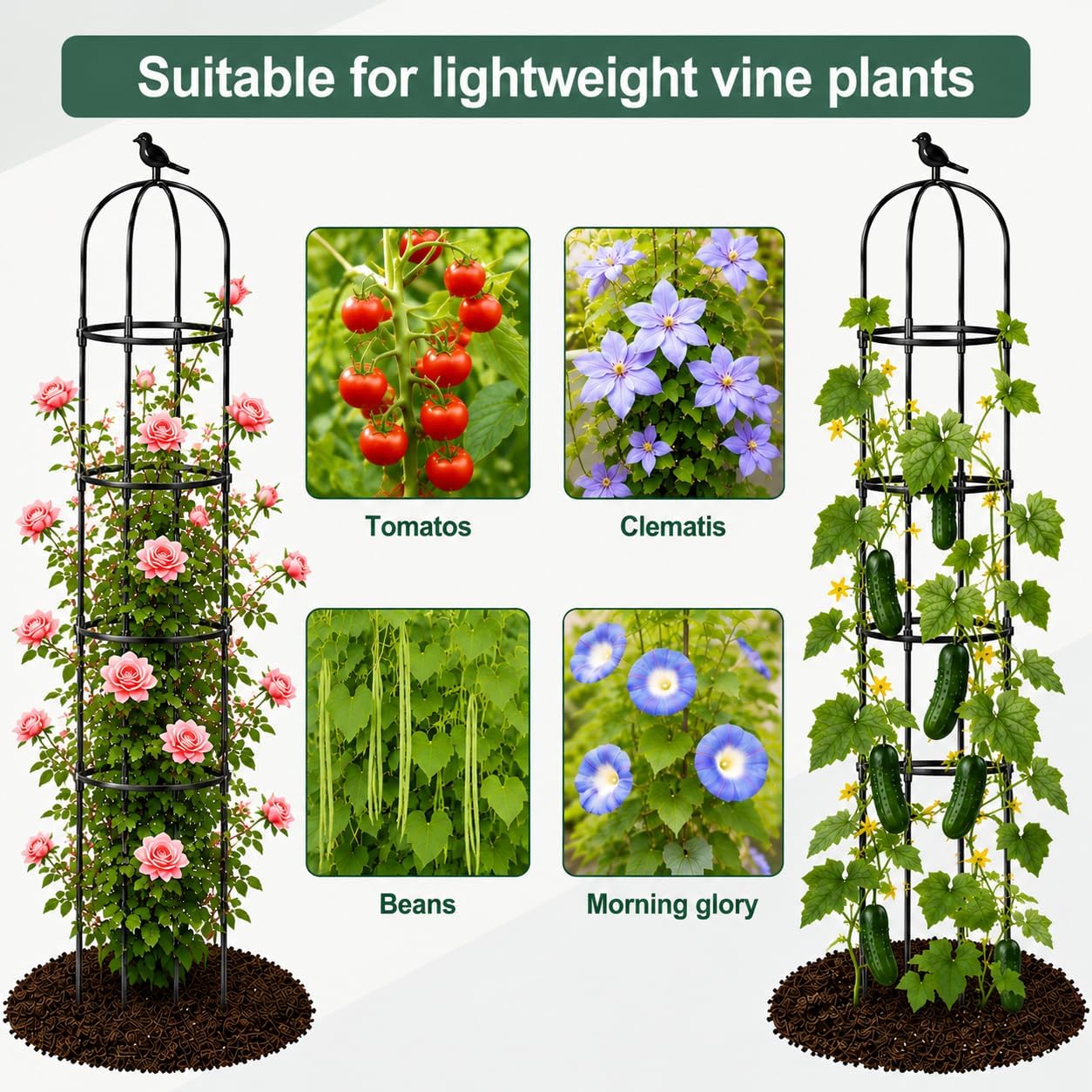 2 Pack 6 ft Garden Obelisk Trellis for Climbing Plants Outdoor