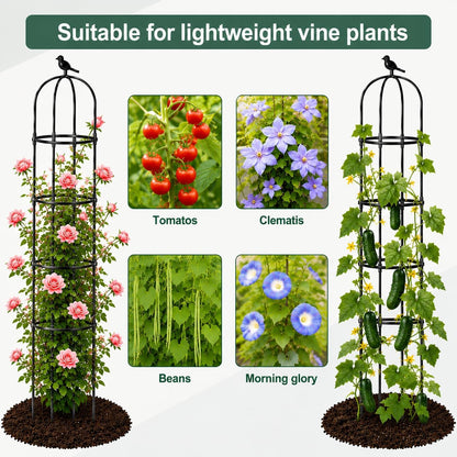 2 Pack 6 ft Garden Obelisk Trellis for Climbing Plants Outdoor