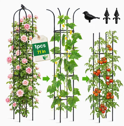 2 Pack 6 ft Garden Obelisk Trellis for Climbing Plants Outdoor