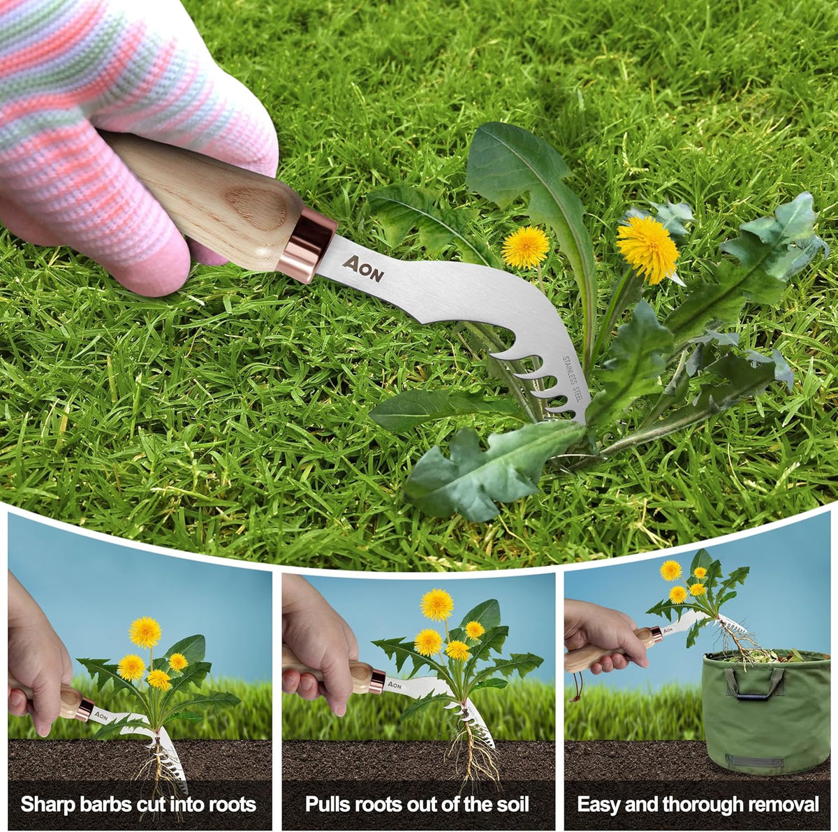 2-Pack Crack Weeder & Root Remover Tool Set for Patios and Gardens