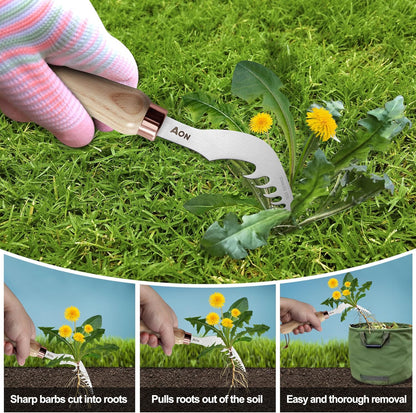 2-Pack Crack Weeder & Root Remover Tool Set for Patios and Gardens