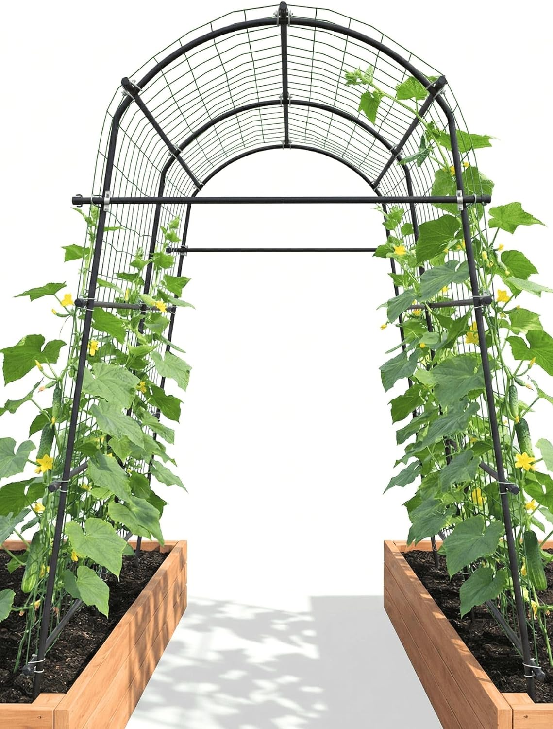 Garden Trellis Arch 7FT PP-Coated Stainless Steel Metal Extra Tall Cucumber Trellis Arch Garden Arch Trellis for Climbing Plants Outdoor Vegetable Trellis with Trellis Netting