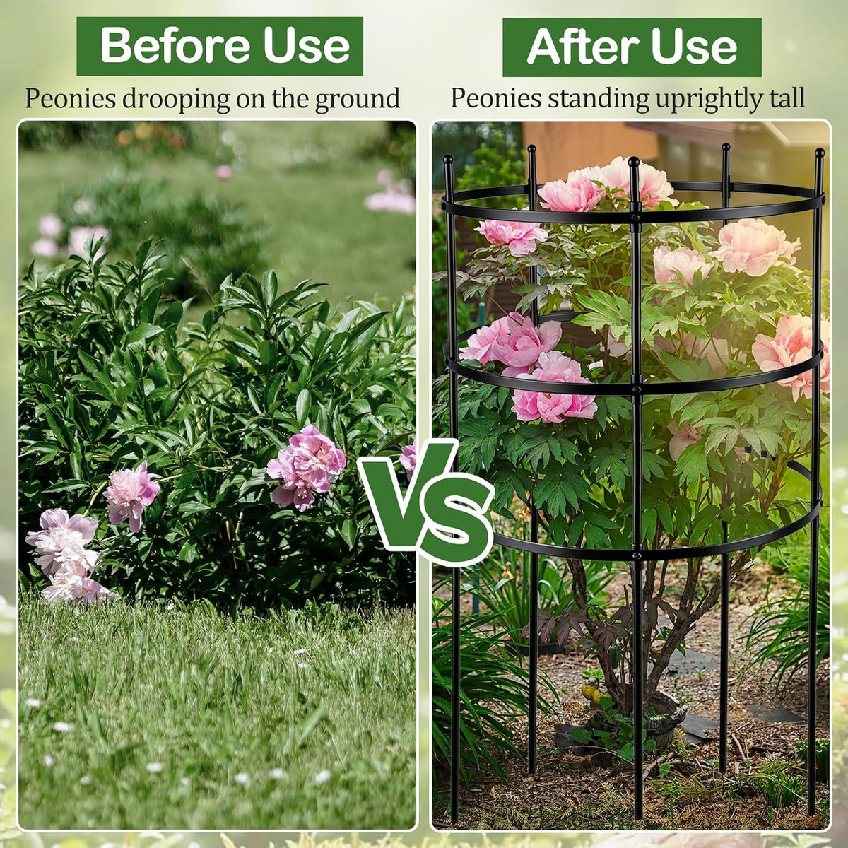 2 Set Titan Peony Plant Support Stakes Black Metal Peonies Cages 17.7" D x 35.4" H Tomato Cages Rings Sturdy Garden Plants Support Trellis for Climbing Plants