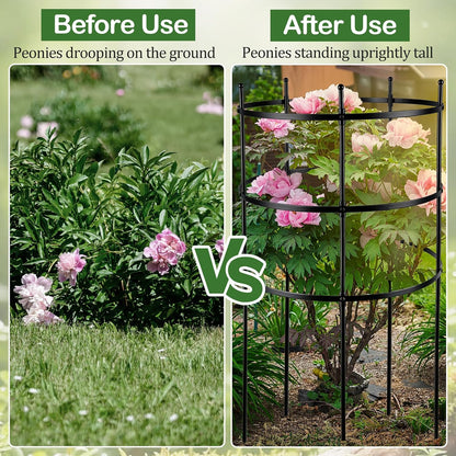 2 Set Titan Peony Plant Support Stakes Black Metal Peonies Cages 17.7" D x 35.4" H Tomato Cages Rings Sturdy Garden Plants Support Trellis for Climbing Plants