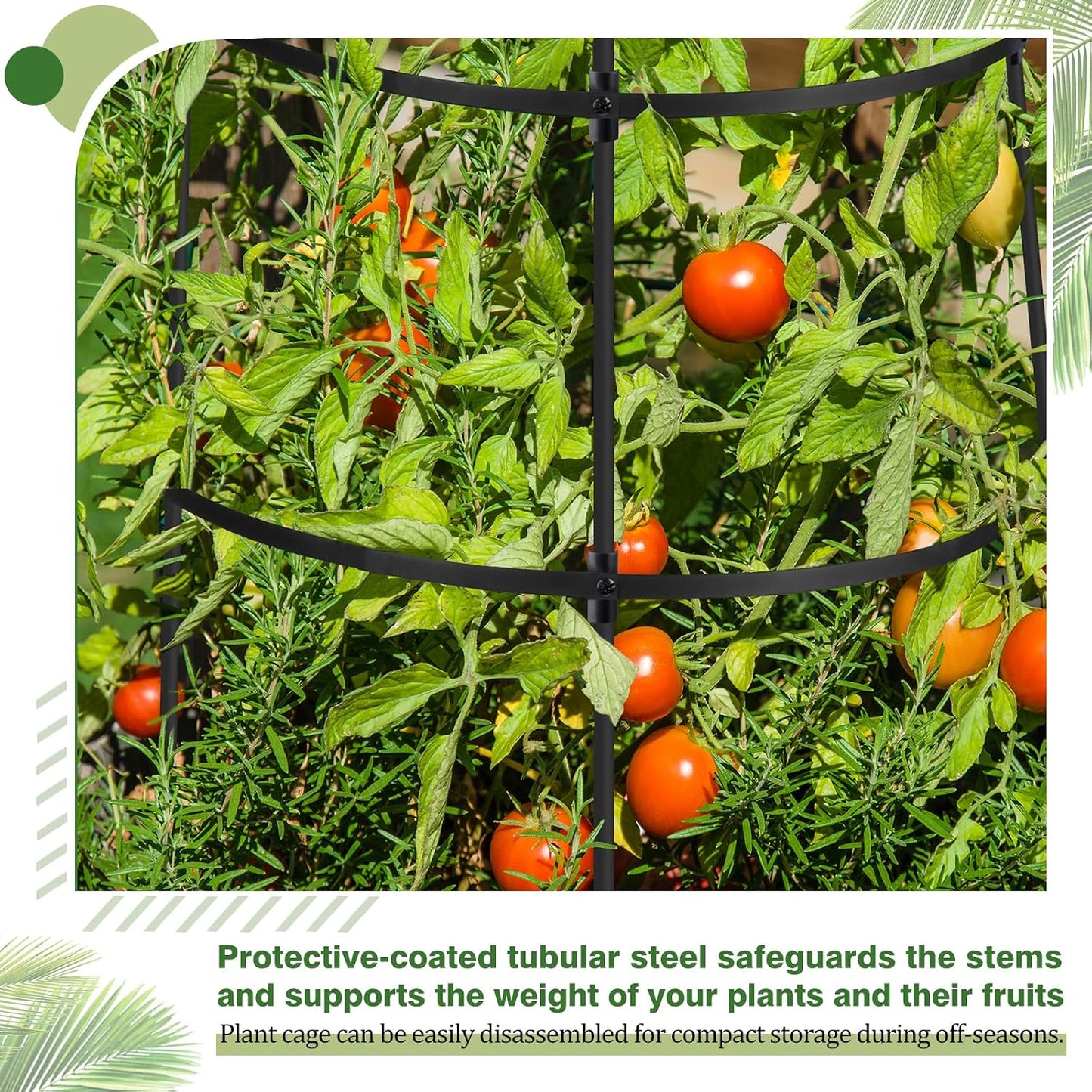 2 Set Titan Peony Plant Support Stakes Black Metal Peonies Cages 17.7" D x 35.4" H Tomato Cages Rings Sturdy Garden Plants Support Trellis for Climbing Plants