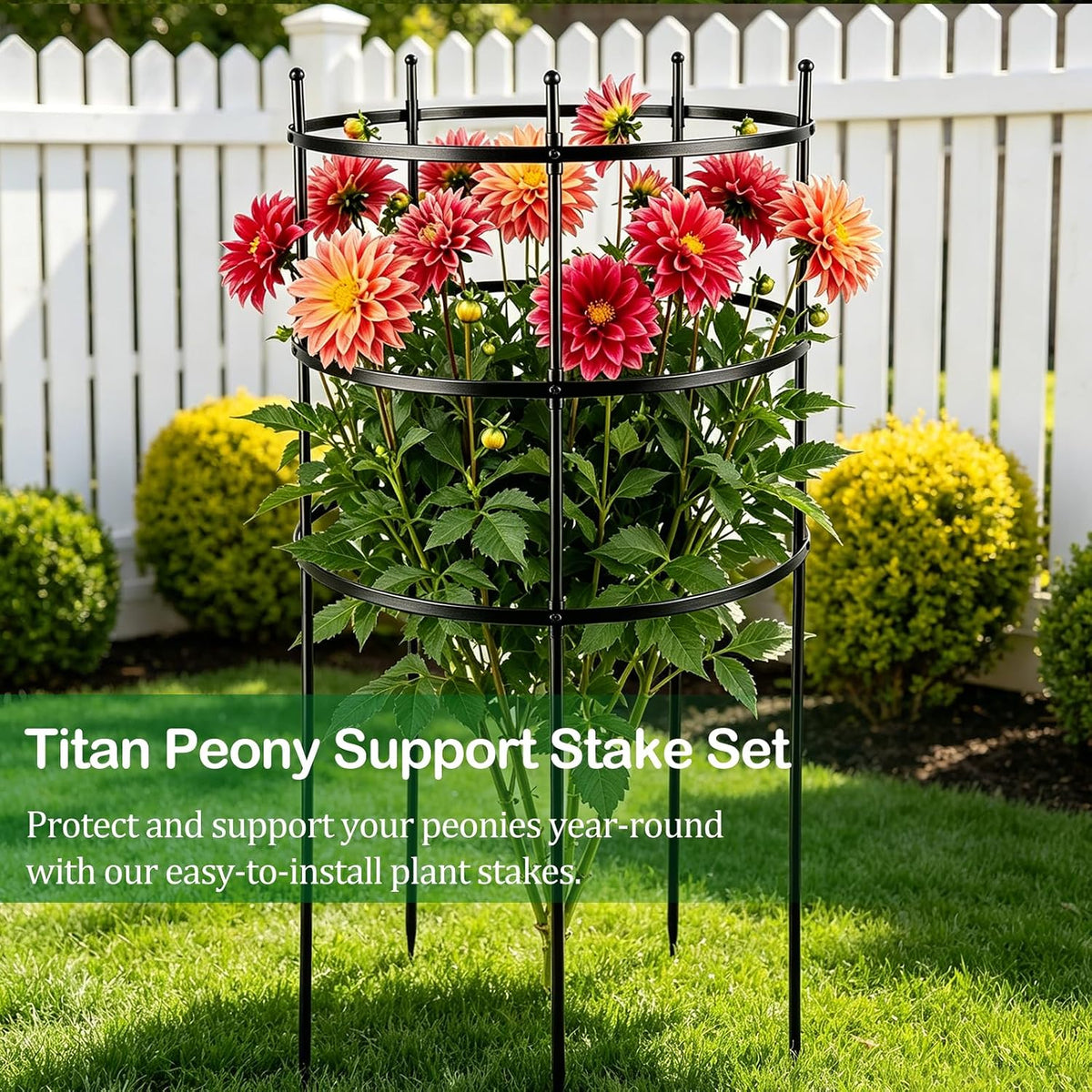 2 Set Titan Peony Plant Support Stakes Black Metal Peonies Cages 17.7" D x 35.4" H Tomato Cages Rings Sturdy Garden Plants Support Trellis for Climbing Plants