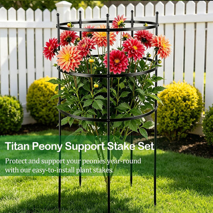 2 Set Titan Peony Plant Support Stakes Black Metal Peonies Cages 17.7" D x 35.4" H Tomato Cages Rings Sturdy Garden Plants Support Trellis for Climbing Plants