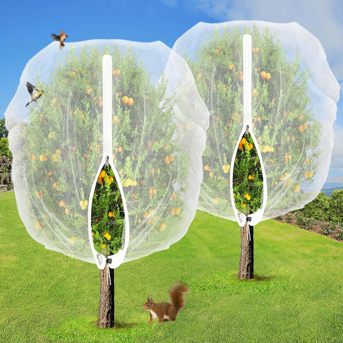 Easy Installation Fruit Tree Netting with Zipper & Drawstring - 6.2x6.2ft Ultra Fine Mesh Garden Protection Screen to Protect Pear Peach Apple from Bird Insect Bug Cicada Deer Squirrel - 2pcs