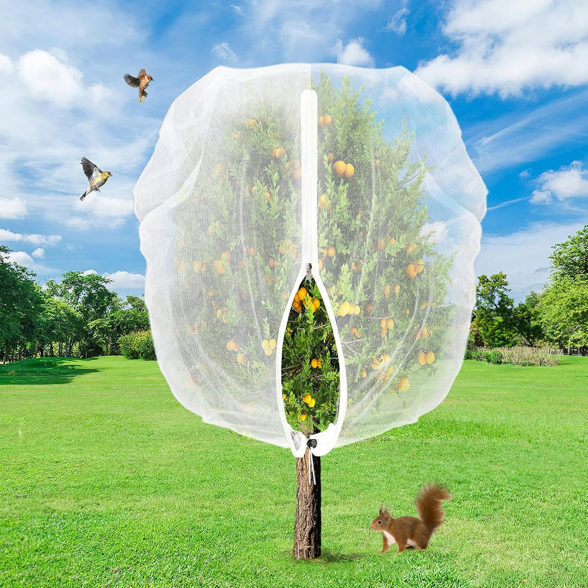 Easy Installation Fruit Tree Netting with Zipper & Drawstring - 6.2x6.2ft Ultra Fine Mesh Garden Protection Screen to Protect Pear Peach Apple from Bird Insect Bug Cicada Deer Squirrel - 2pcs