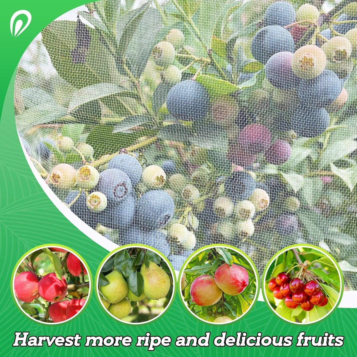 Easy Installation Fruit Tree Netting with Zipper & Drawstring - 6.2x6.2ft Ultra Fine Mesh Garden Protection Screen to Protect Pear Peach Apple from Bird Insect Bug Cicada Deer Squirrel - 2pcs