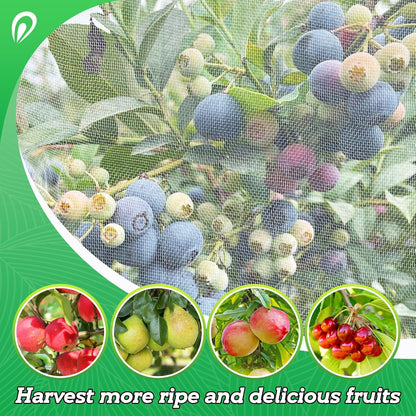 Easy Installation Fruit Tree Netting with Zipper & Drawstring - 6.2x6.2ft Ultra Fine Mesh Garden Protection Screen to Protect Pear Peach Apple from Bird Insect Bug Cicada Deer Squirrel - 2pcs
