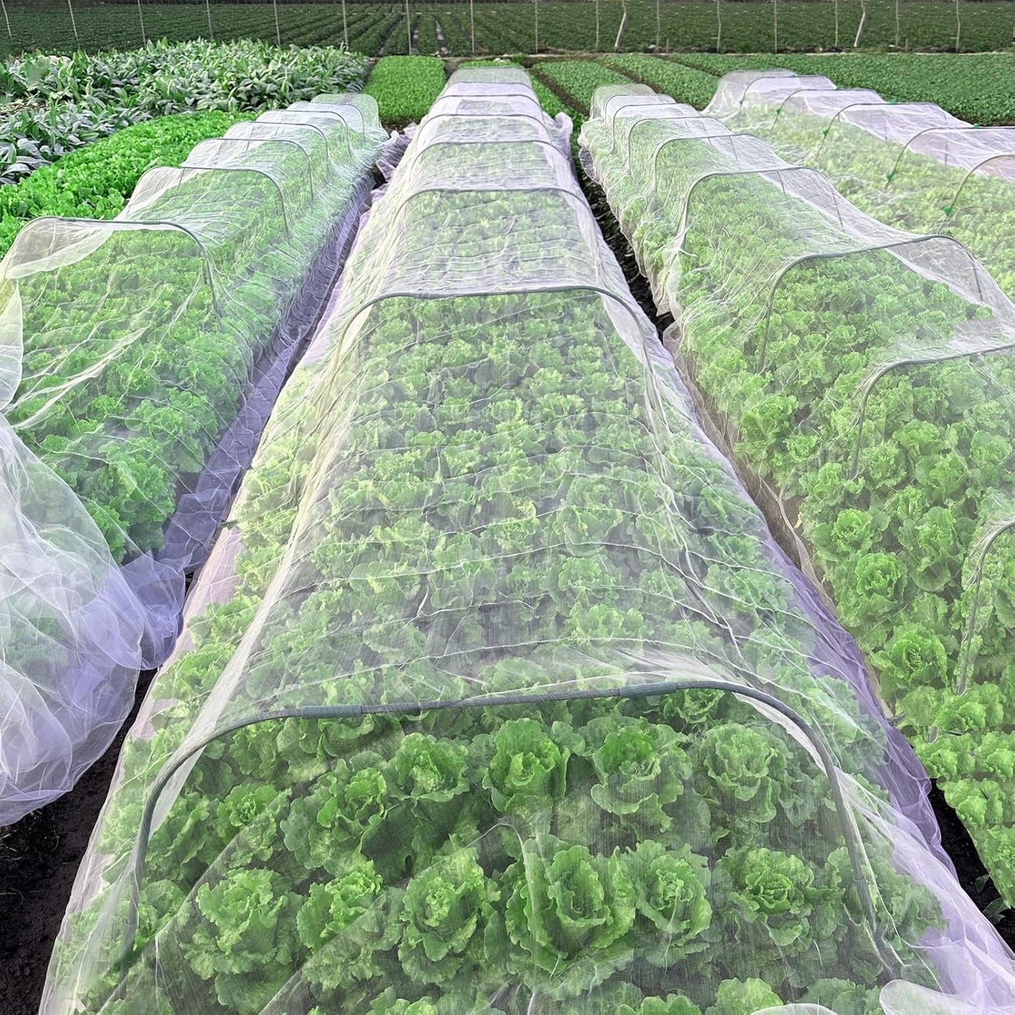 2PCS Insect Netting -10x43FT Fine Mesh Garden Protection Netting for Vegetables Plants Flowers Crops,Row Covers for Raised Bed from Birds Deer Squirrels Barrier Pest