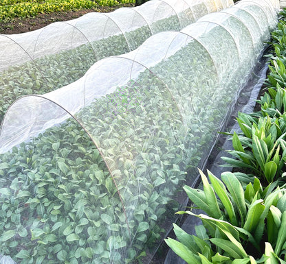 2PCS Insect Netting -10x43FT Fine Mesh Garden Protection Netting for Vegetables Plants Flowers Crops,Row Covers for Raised Bed from Birds Deer Squirrels Barrier Pest