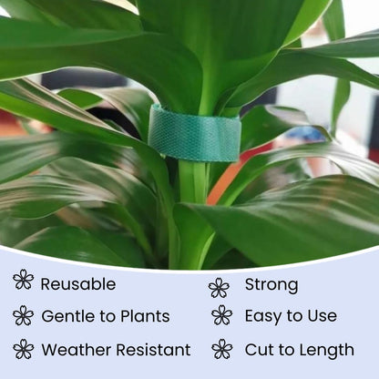 Reusable Plant Ties for Climbing Plants Hook and Loop Green Nylon Plant Straps Tape Double Sided Garden Tie Strap Reusable Adjustable Gentle Support for Vines, Trellis, Tomato (1/2 Inch x 16.4 ft)
