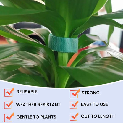 Reusable Plant Ties for Climbing Plants Hook and Loop Green Nylon Plant Straps Tape Double Sided Garden Tie Strap Reusable Adjustable Gentle Support for Vines, Trellis, Tomato (1/2 Inch x 16.4 ft)