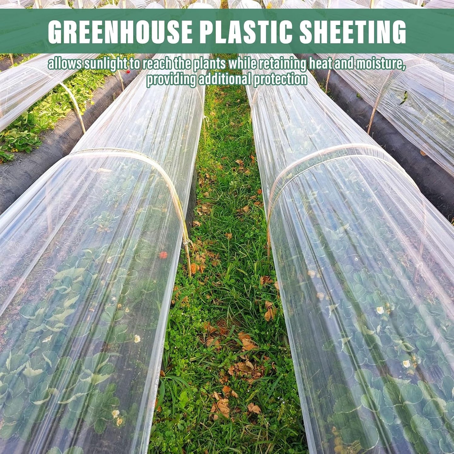 8 X 26 Ft Clear Greenhouse Plastic, Plant Covers Freeze Protection