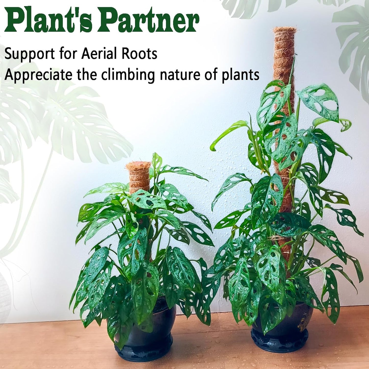 4 Pack 22 Inch Moss Poles, Stackable Moss Pole for Plants Monstera, 70 Inch Tall Moss Poles for Climbing Plants Indoor, Coir Totem Plant Support Stakes Stand for Potted Plants, Pothos