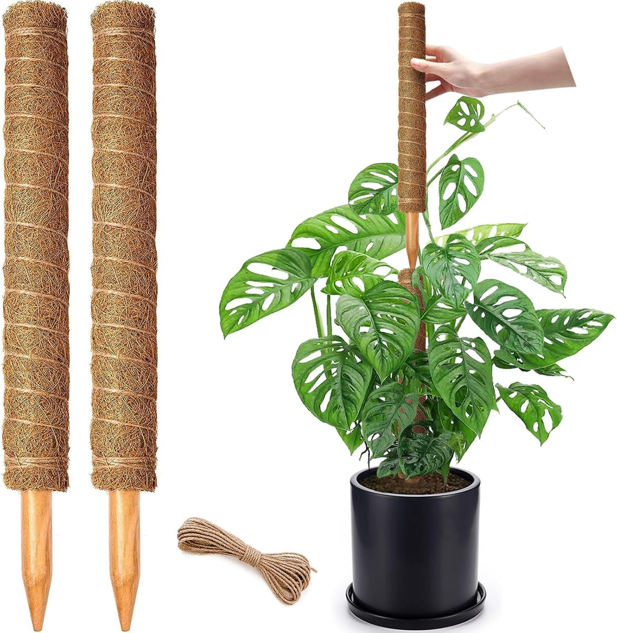 4 Pack 22 Inch Moss Poles, Stackable Moss Pole for Plants Monstera, 70 Inch Tall Moss Poles for Climbing Plants Indoor, Coir Totem Plant Support Stakes Stand for Potted Plants, Pothos