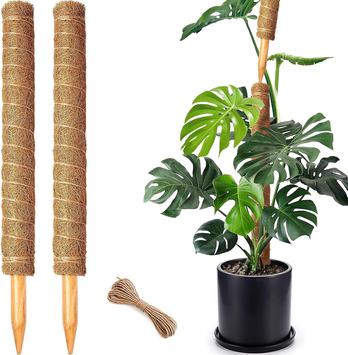 4 Pack 22 Inch Moss Poles, Stackable Moss Pole for Plants Monstera, 70 Inch Tall Moss Poles for Climbing Plants Indoor, Coir Totem Plant Support Stakes Stand for Potted Plants, Pothos