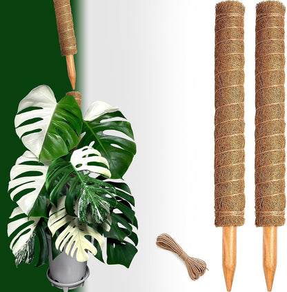 4 Pack 22 Inch Moss Poles, Stackable Moss Pole for Plants Monstera, 70 Inch Tall Moss Poles for Climbing Plants Indoor, Coir Totem Plant Support Stakes Stand for Potted Plants, Pothos