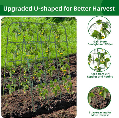 65"×50" Cucumber Trellis for Raised Bed,Tall Metal Arch Garden Trellis for Climbing Plants Outdoor,Vegetables,Plant Support Peas,Fruit,Flower,Grape,Tomato, Bean