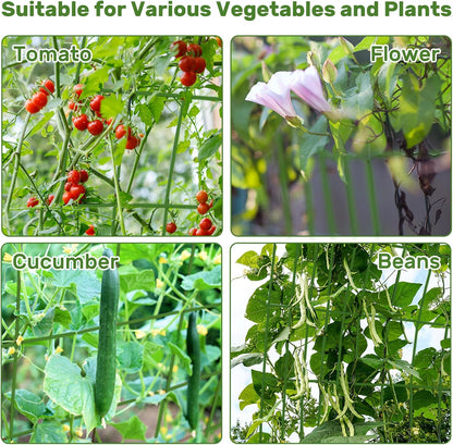 39" Cucumber Trellis，2 Pack Garden Trellis, Plant Support for Climbing，Green