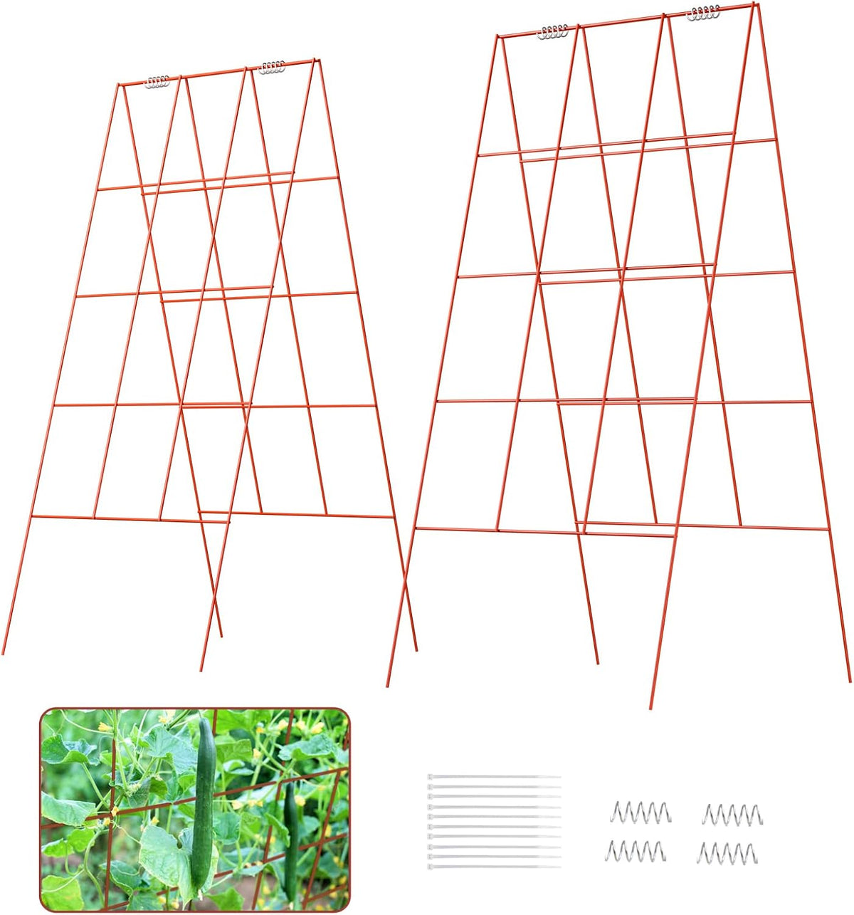 39" Cucumber Trellis，2 Pack Garden Trellis, Plant Support for Climbing，Green