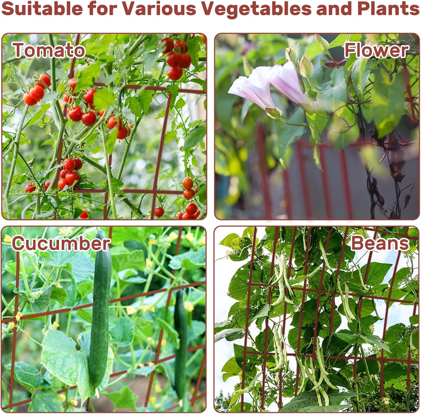 39" Cucumber Trellis，2 Pack Garden Trellis, Plant Support for Climbing，Green
