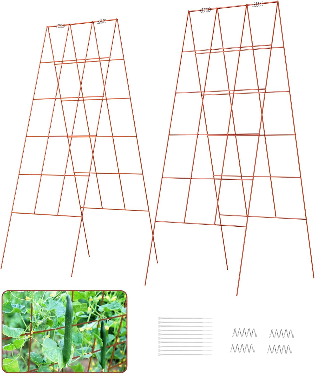 39" Cucumber Trellis，2 Pack Garden Trellis, Plant Support for Climbing，Green
