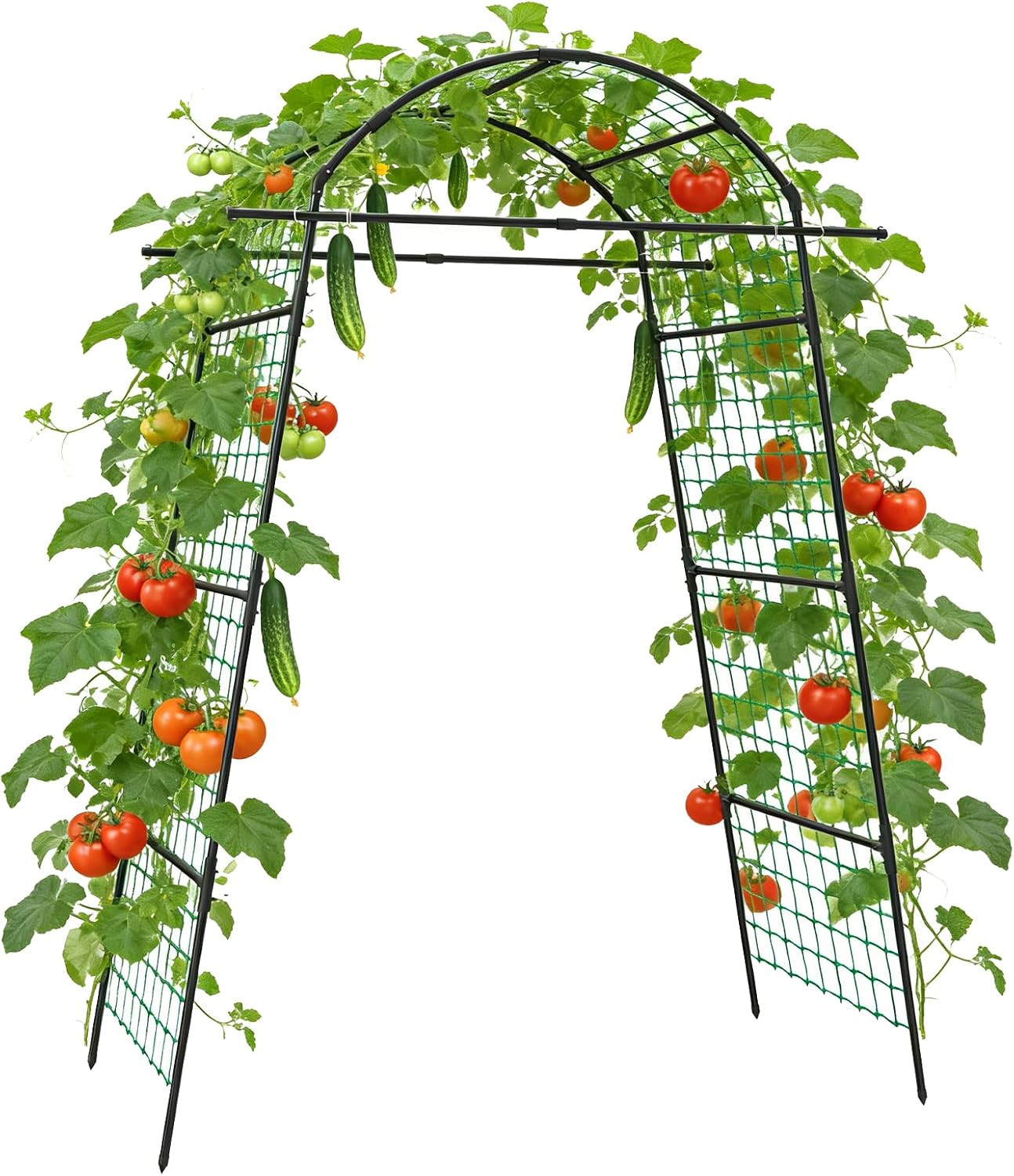 39" Cucumber Trellis，2 Pack Garden Trellis, Plant Support for Climbing，Green