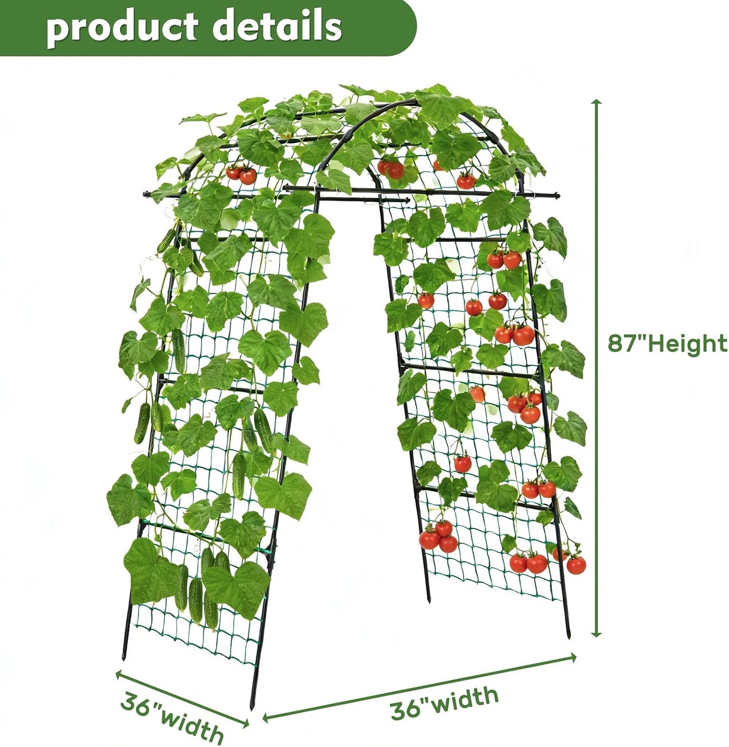 39" Cucumber Trellis，2 Pack Garden Trellis, Plant Support for Climbing，Green