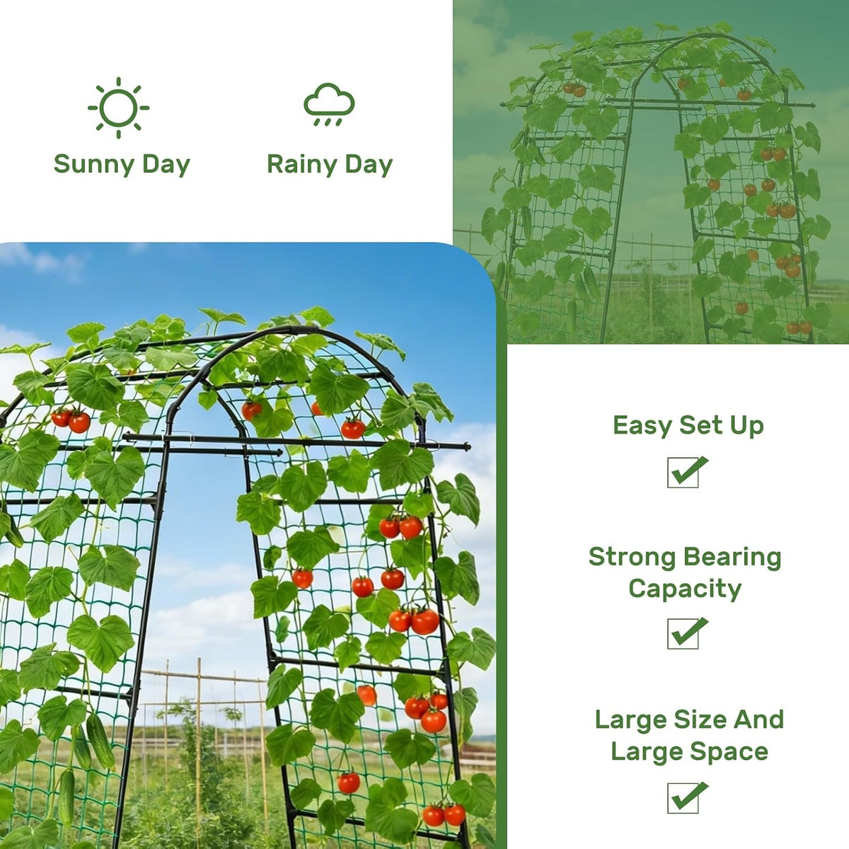 39" Cucumber Trellis，2 Pack Garden Trellis, Plant Support for Climbing，Green