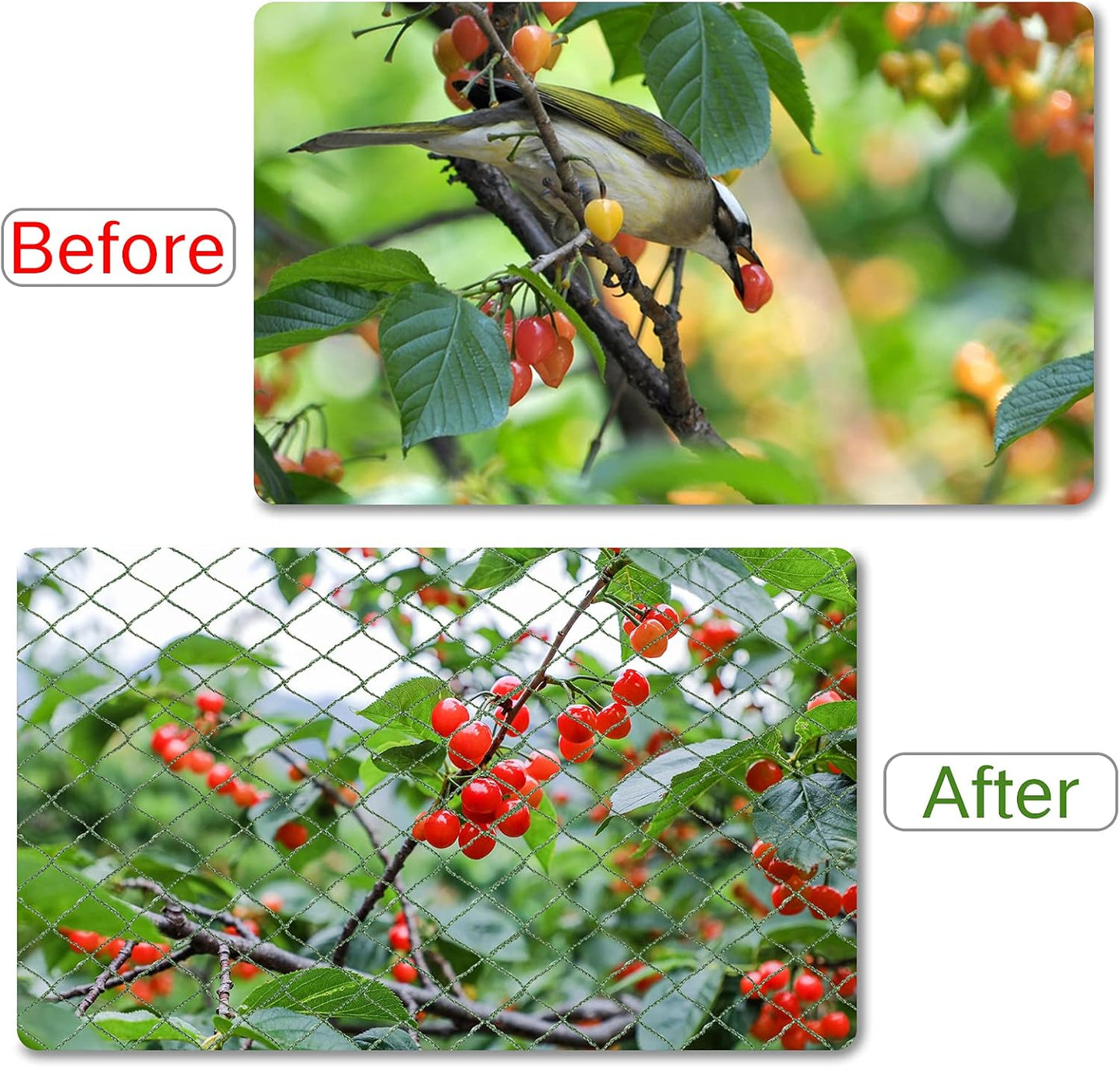 Anti Bird Netting for Garden Woven Mesh - Heavy Duty Protect Plants and Fruit Trees from Rodents Birds Deer Poultry Reusable and Doesn't Tangle (19.5 ft x 40 ft)