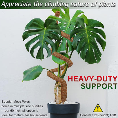 2-Pack 28" Bendable Moss Pole for Monstera, Rust-Free Aluminum Core Plant Support Stakes, Sturdy Stakes to Train & Grow Indoor Climbing Plants Upright (13.2ft Jute Rope Included)