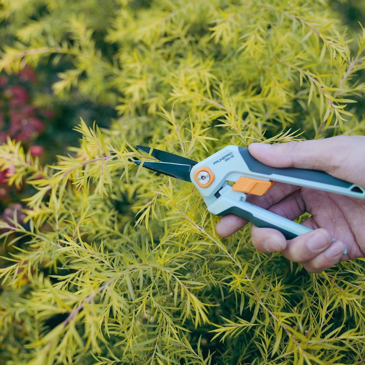 Garden Scissors Pruning Shears Sharp Stainless Steel Non-Stick Teflon Coating Blade for Precise Cuts Garden Snip Bonsai Clippers for Plants Rose Flower
