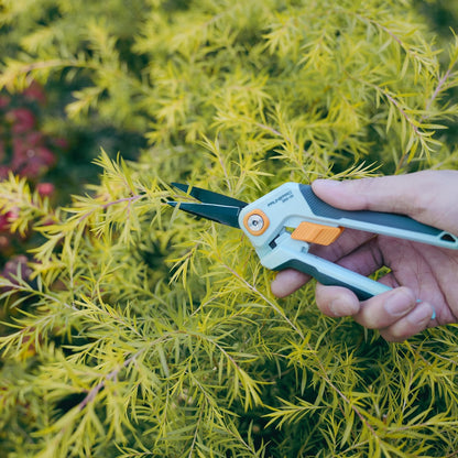 Garden Scissors Pruning Shears Sharp Stainless Steel Non-Stick Teflon Coating Blade for Precise Cuts Garden Snip Bonsai Clippers for Plants Rose Flower