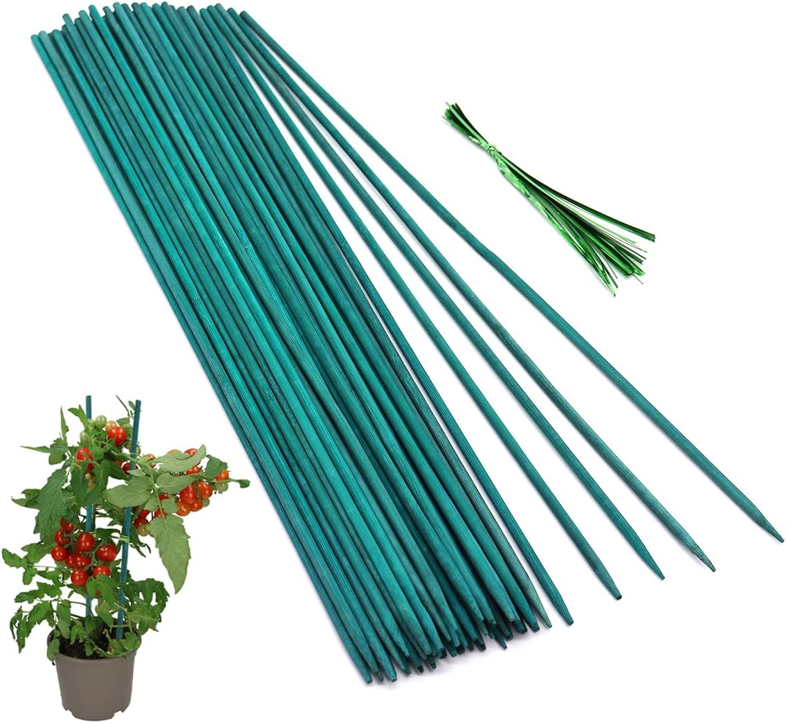 GAGINANG Green Bamboo Plant Stakes, 50 Pcs 18 Inches Floral Support Sticks